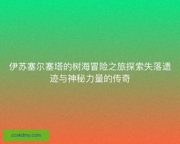 伊苏塞尔塞塔的树海冒险之旅探索失落遗迹与神秘力量的传奇