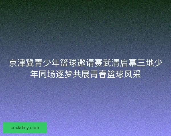 京津冀青少年篮球邀请赛武清启幕三地少年同场逐梦共展青春篮球风采