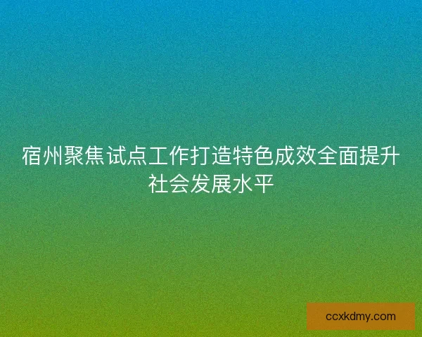 宿州聚焦试点工作打造特色成效全面提升社会发展水平
