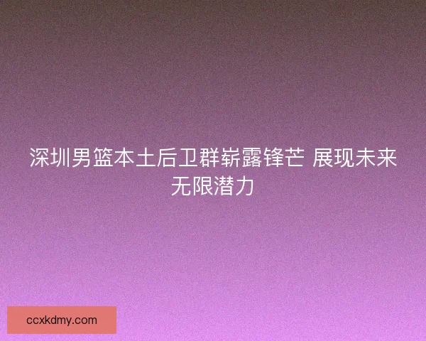 深圳男篮本土后卫群崭露锋芒 展现未来无限潜力