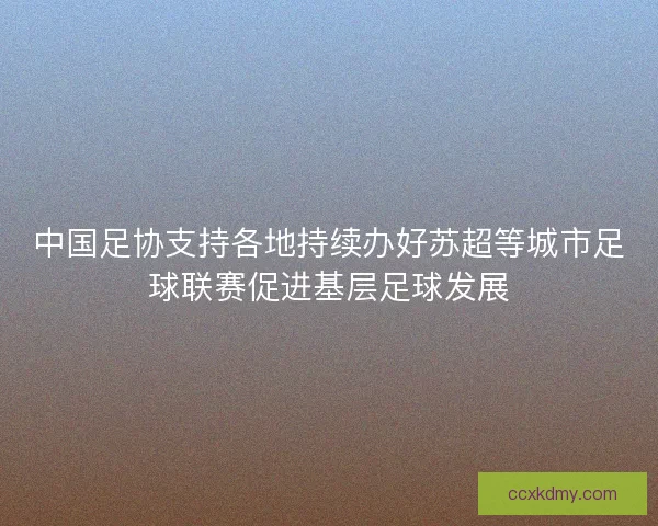 中国足协支持各地持续办好苏超等城市足球联赛促进基层足球发展