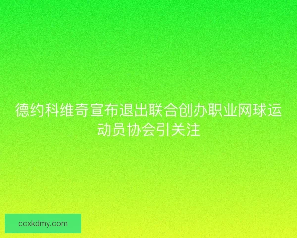 德约科维奇宣布退出联合创办职业网球运动员协会引关注